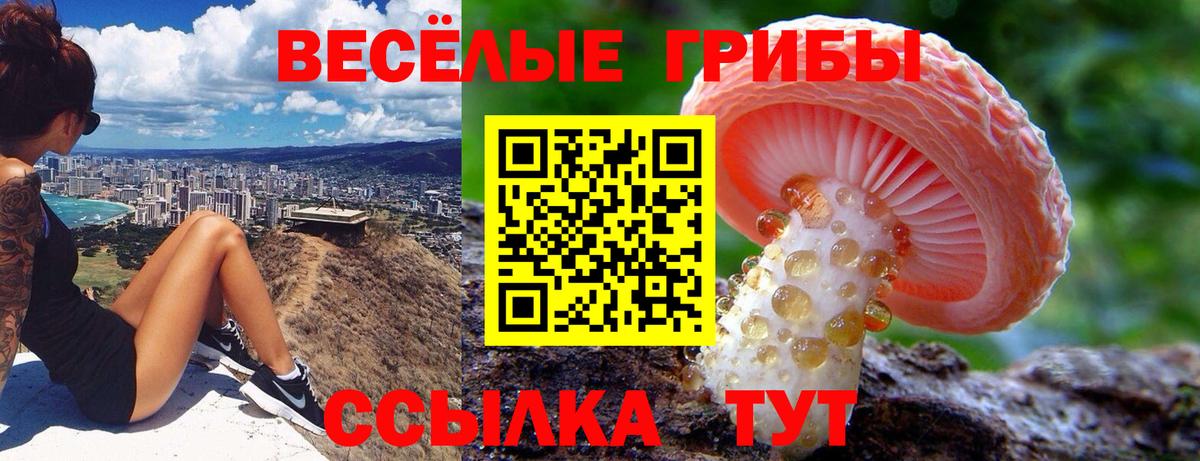 Галлюциногенные грибы прущие грибы  Вход с VPN  Сарапул 