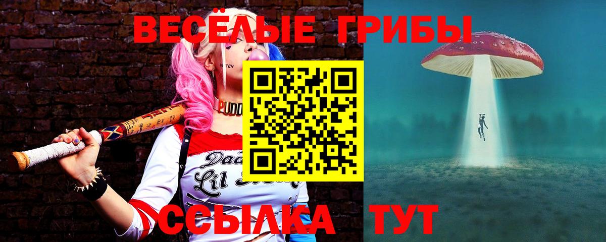 Псилоцибиновые грибы Psilocybe Сарапул